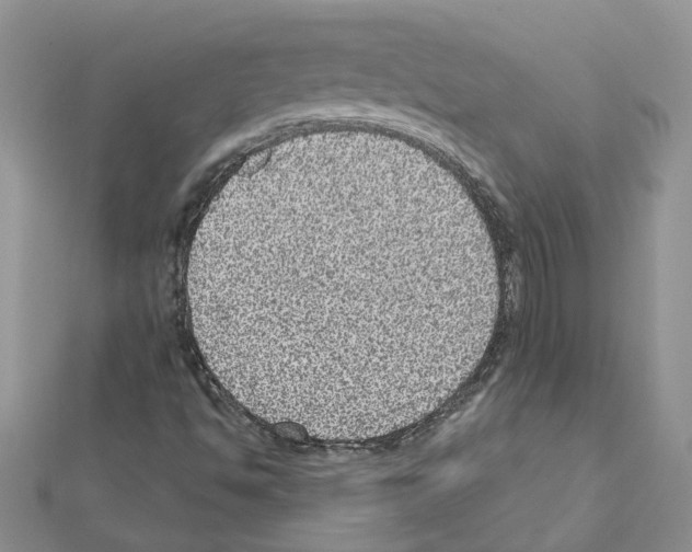 X0000111641494200908281145