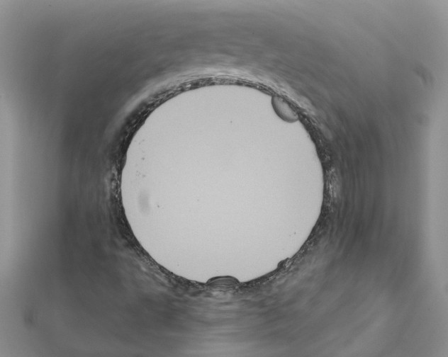 X0000111641495200908281145