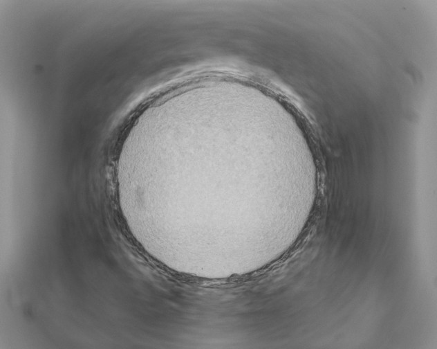 X0000111641496200908281145