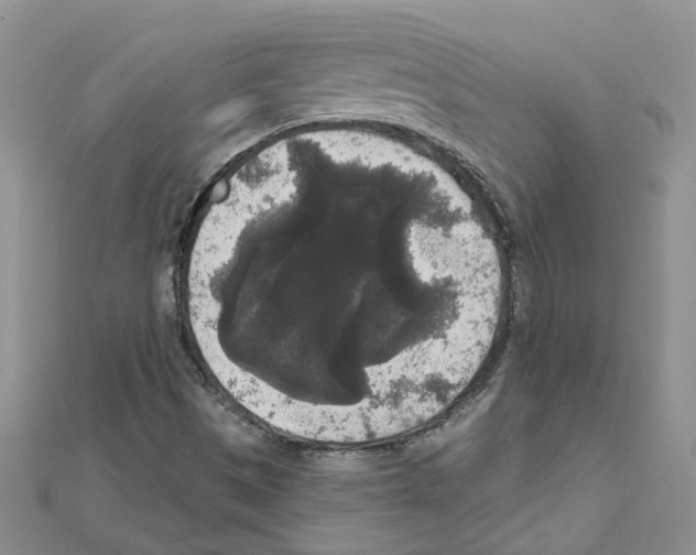 X0000111641497200908281145
