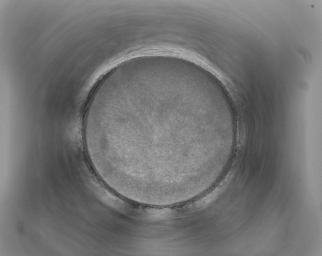 X0000111641498200908281145