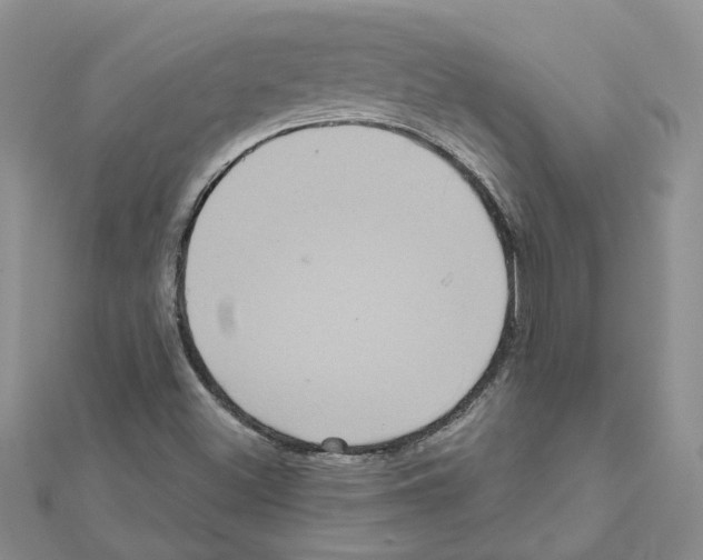 X0000111641500200908281145