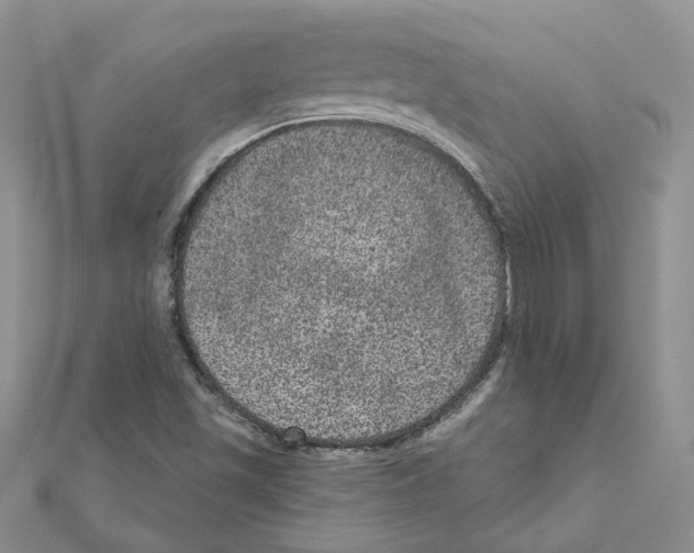 X0000111641501200908281145
