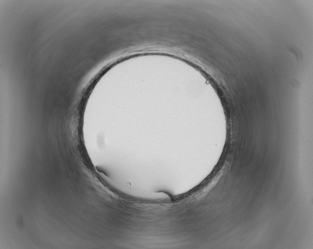 X0000111641502200908281145