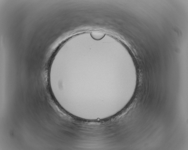 X0000111641503200908281145