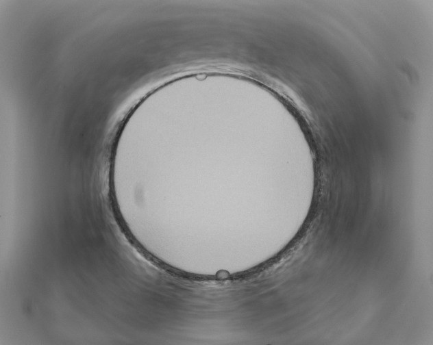 X0000111641504200908281145