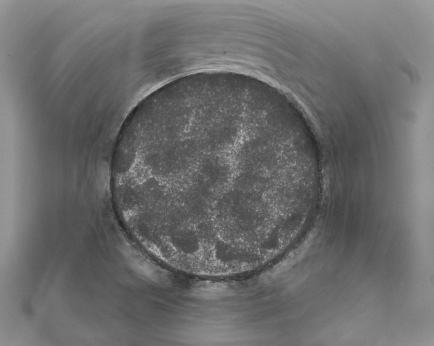 X0000111641505200908281145