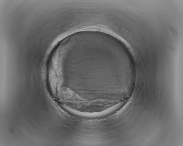 X0000111641506200908281145