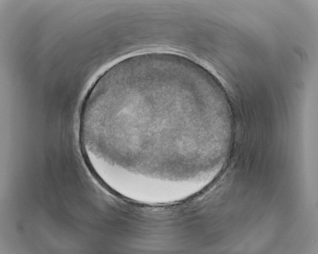 X0000111641508200908281145
