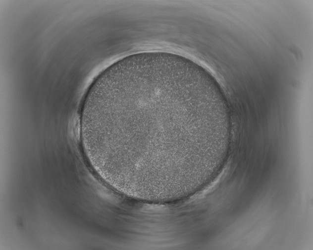 X0000111641509200908281145