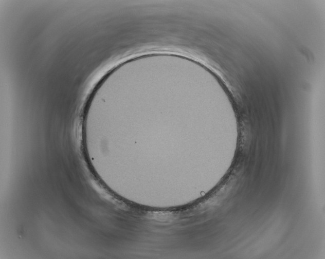 X0000111641511200908281145