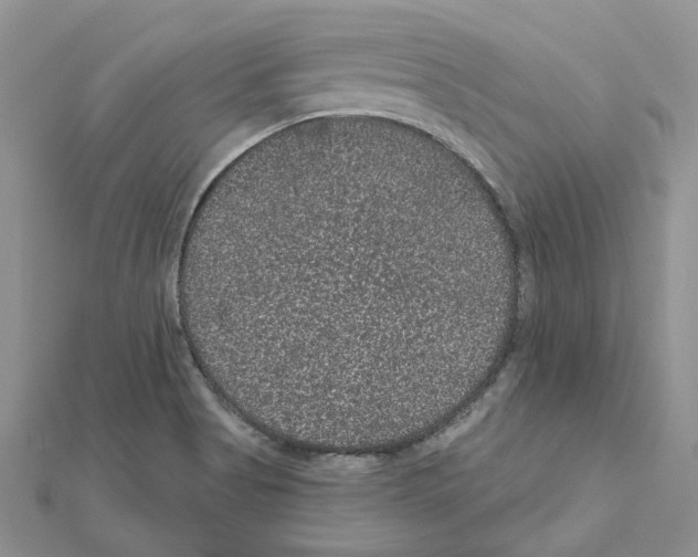 X0000111641513200908281146