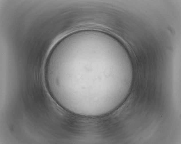 X0000111641514200908281146