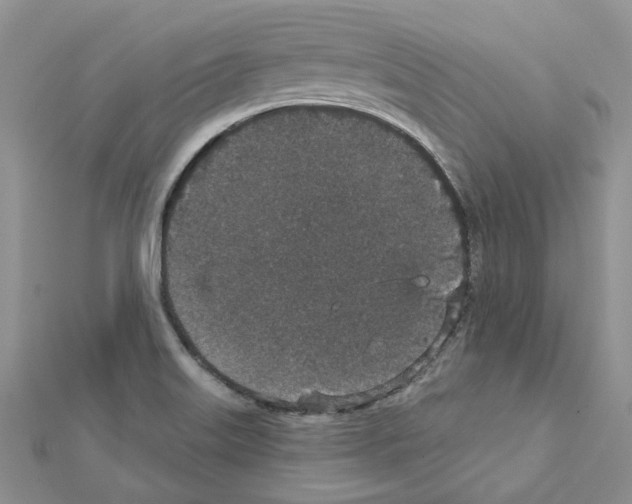 X0000111641515200908281146