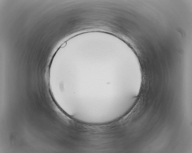 X0000111641516200908281146