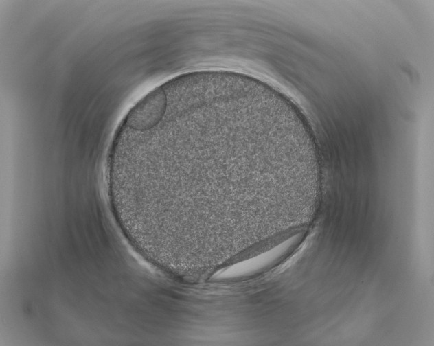 X0000111641517200908281146