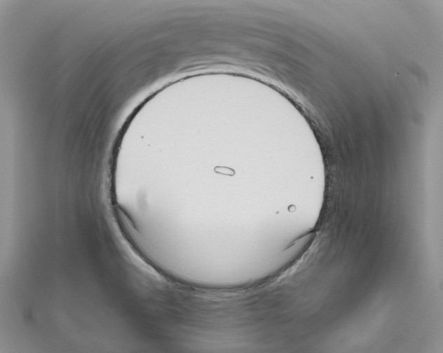 X0000111641518200908281146