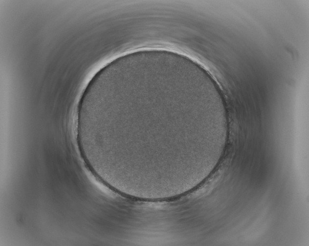 X0000111641519200908281146