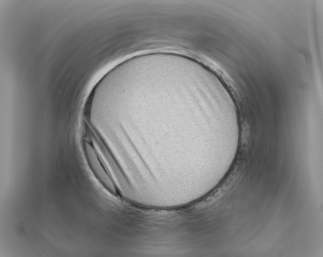 X0000111641520200908281146