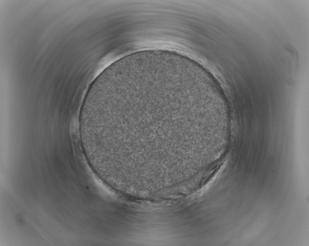 X0000111641521200908281146