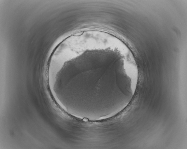 X0000111641522200908281146