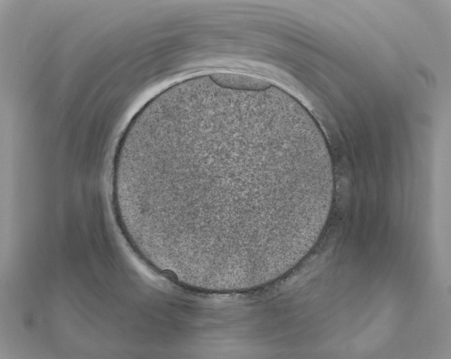 X0000111641523200908281146