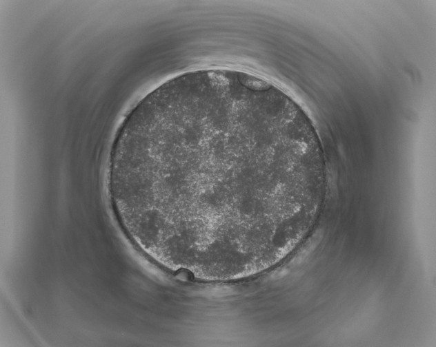 X0000111641525200908281146