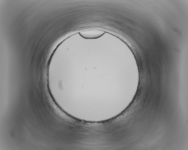 X0000111641526200908281146