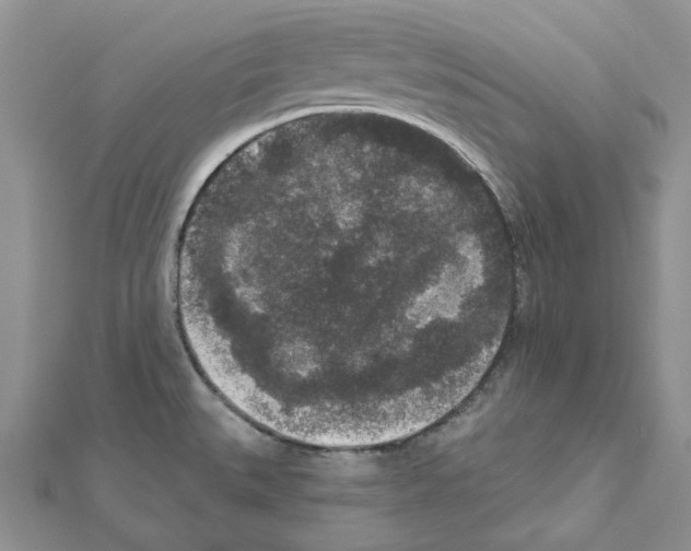 X0000111641527200908281146