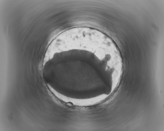 X0000111641529200908281146