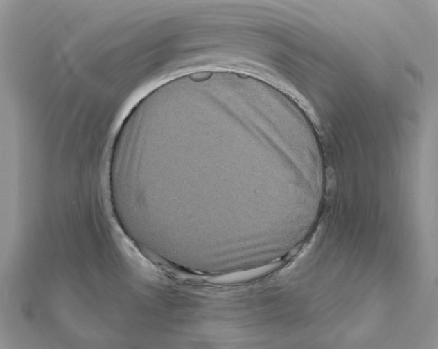 X0000111641530200908281146