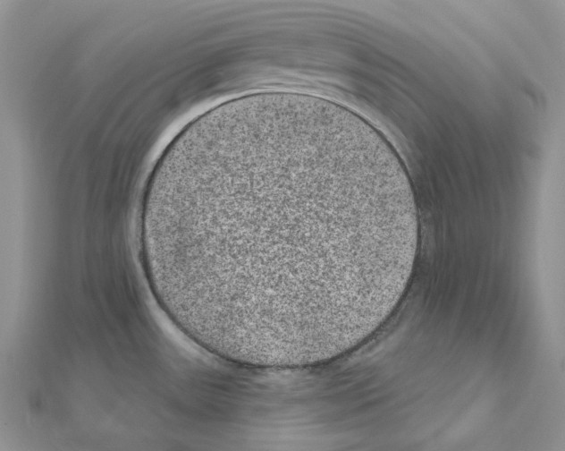 X0000111641531200908281146