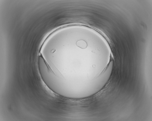 X0000111641532200908281146
