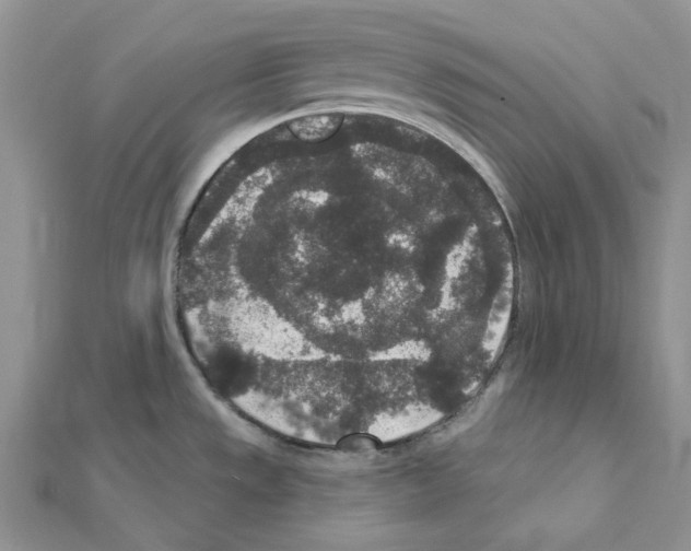 X0000111641533200908281146