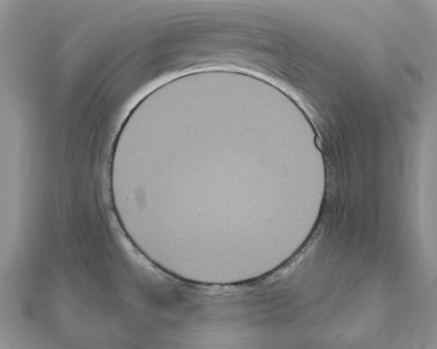 X0000111641534200908281146