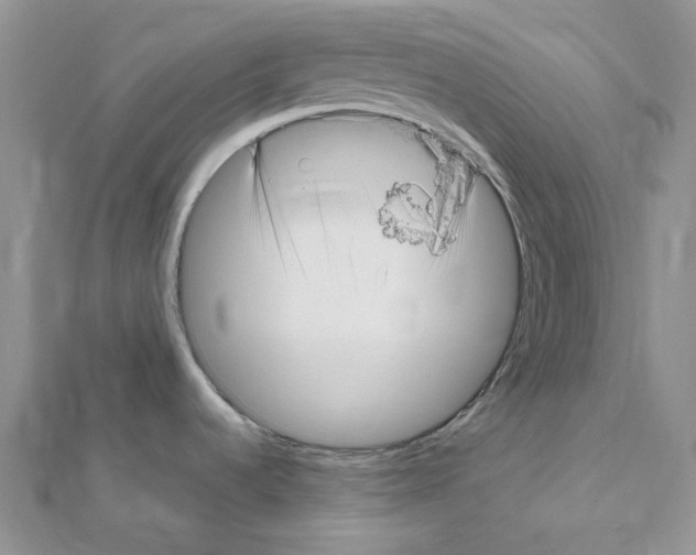 X0000111641536200908281146
