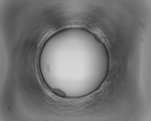 X0000111650001200907171108