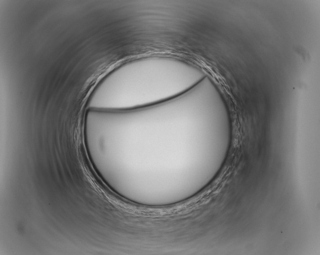 X0000111650002200907171108