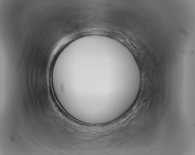 X0000111650006200907171108