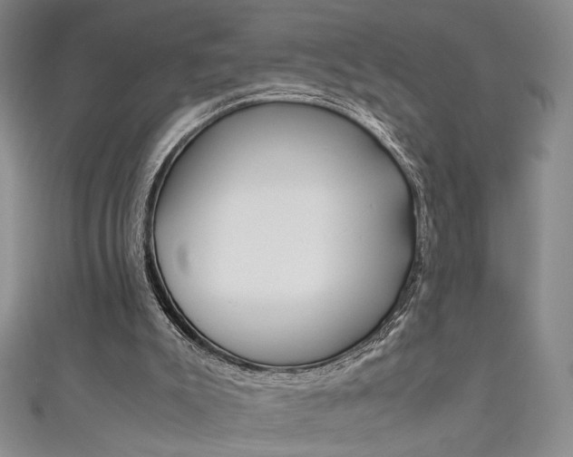 X0000111650007200907171108