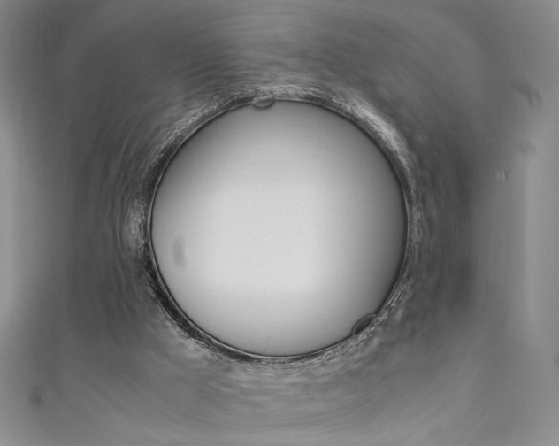 X0000111650009200907171108