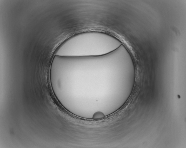 X0000111650010200907171108