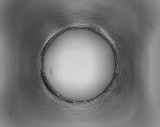 X0000111650011200907171108