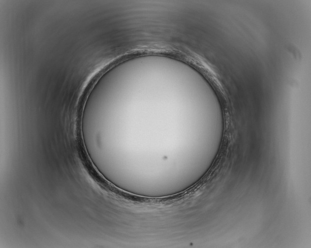 X0000111650012200907171108