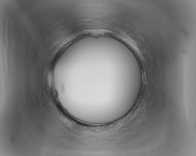 X0000111650013200907171108