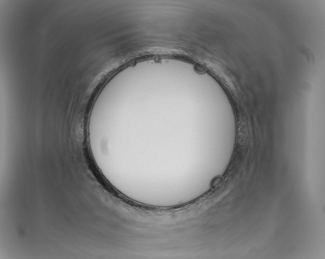 X0000111650015200907171108
