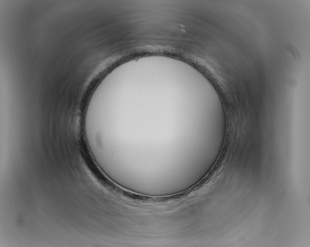 X0000111650016200907171108