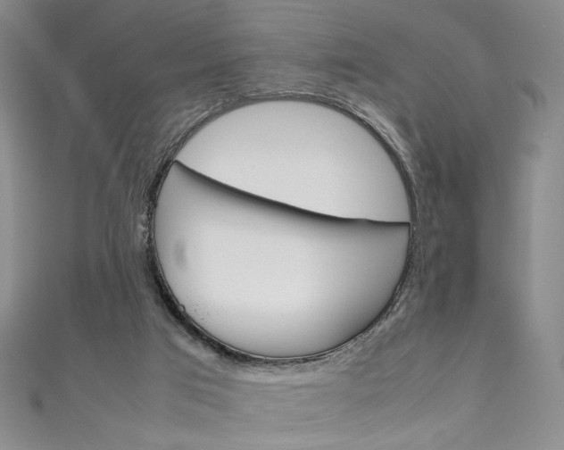 X0000111650017200907171108