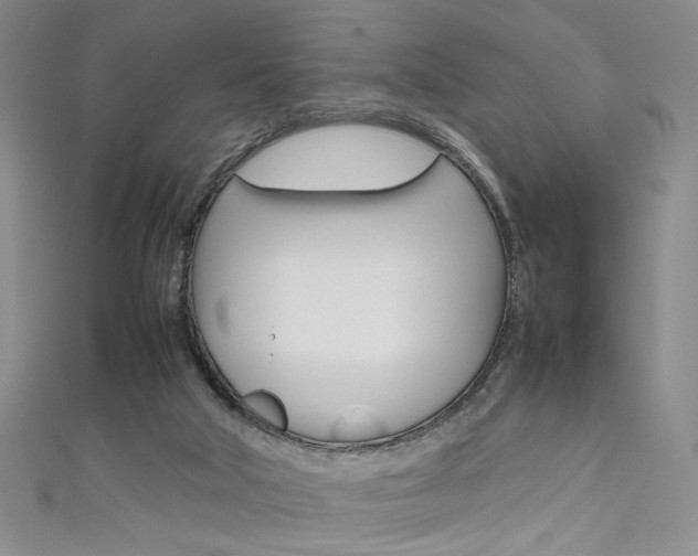 X0000111650018200907171108