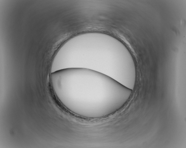 X0000111650019200907171108